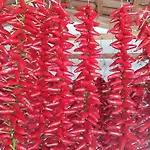 Villettemire 아파트 카포바티카노