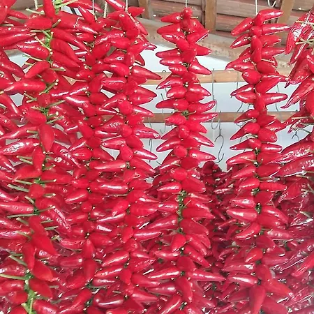 Villettemire Apartment Capo Vaticano