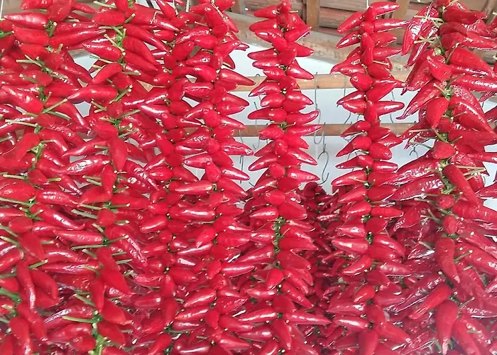 Villettemire Lägenhet Capo Vaticano